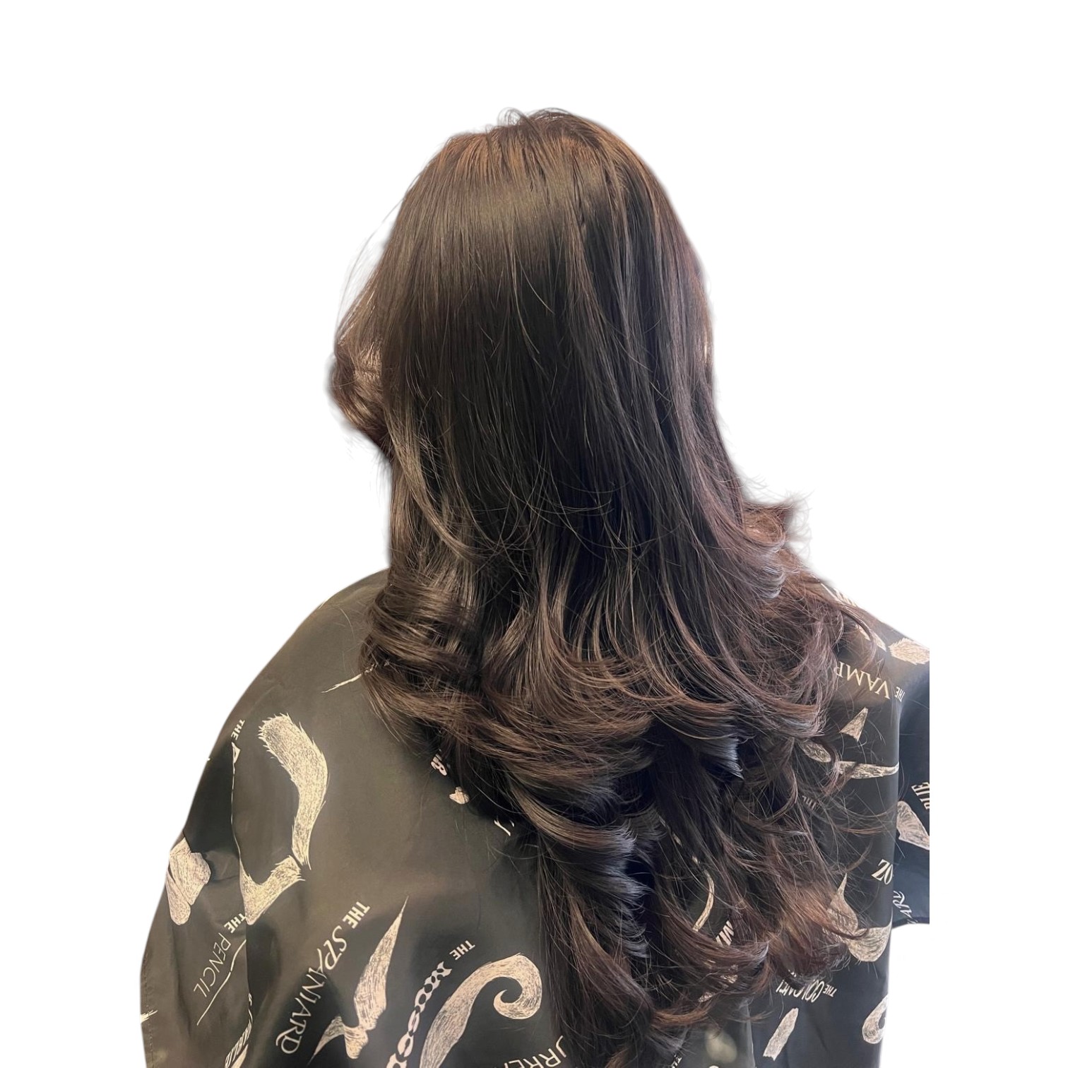Long layered blowout with honey balayage