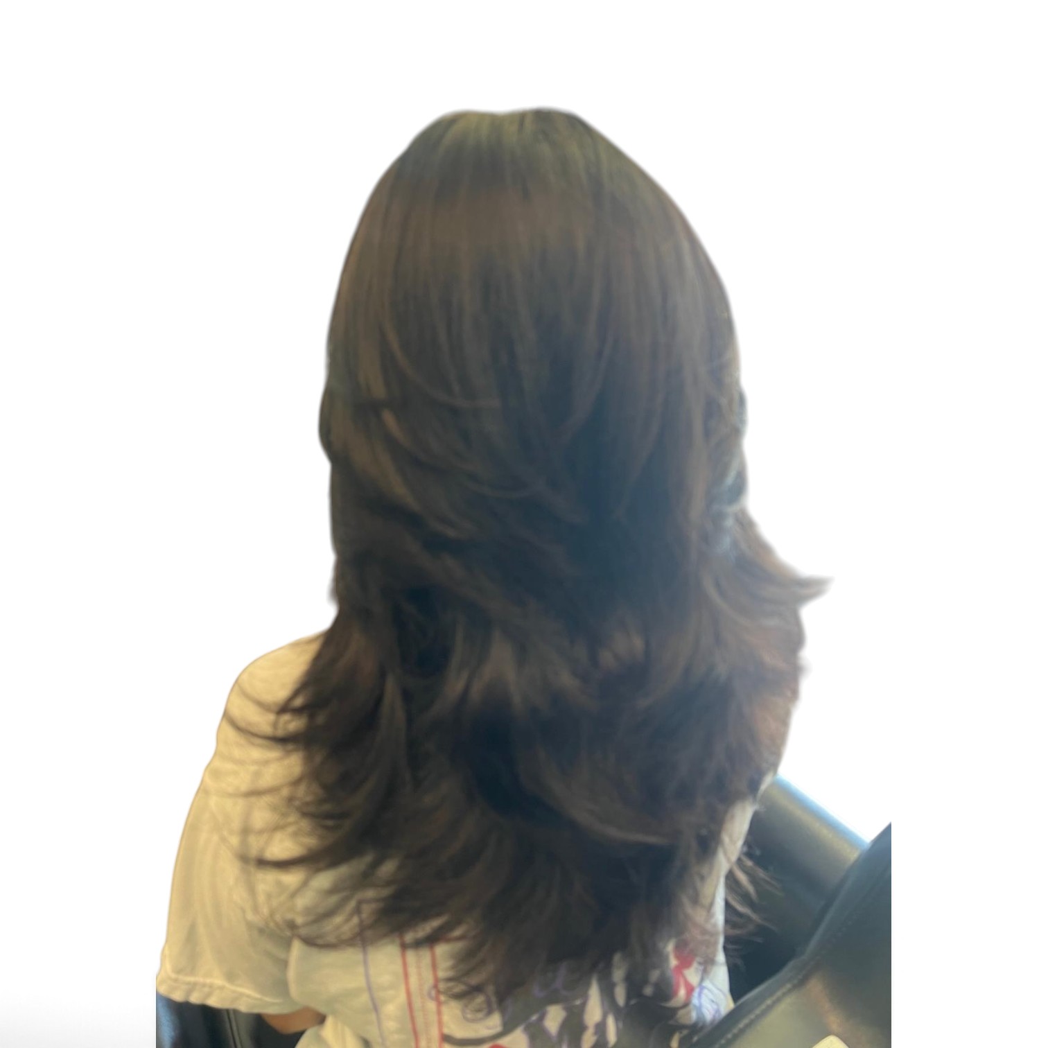 Long layered blowout with honey balayage