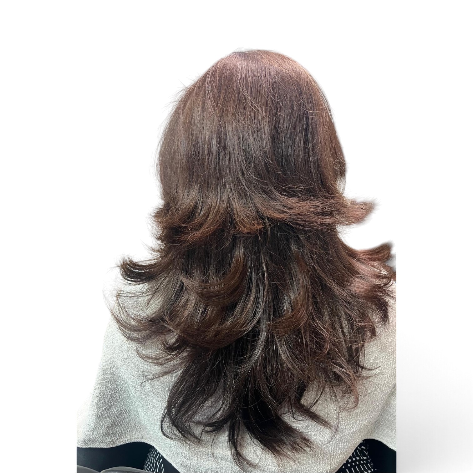 Long layered blowout with honey balayage