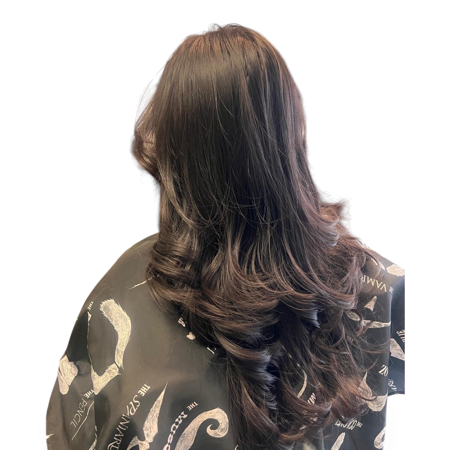 Long layered blowout with honey balayage